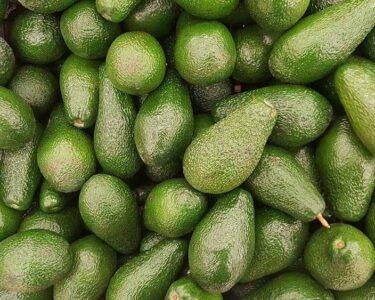 avokado