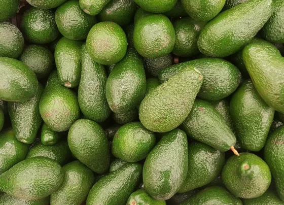 avokado