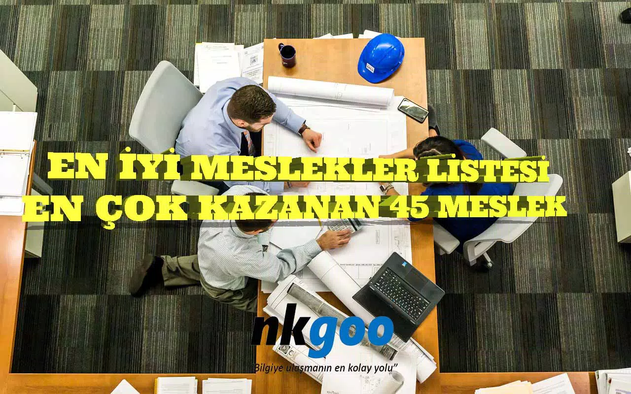 En iyi meslekler listesi, En çok kazanan 45 meslek 