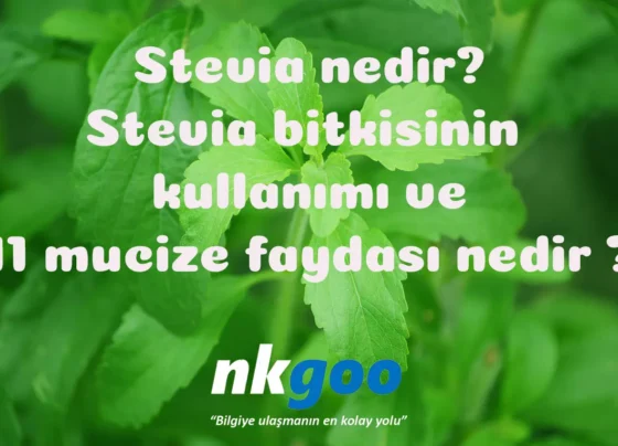 stevia nedir