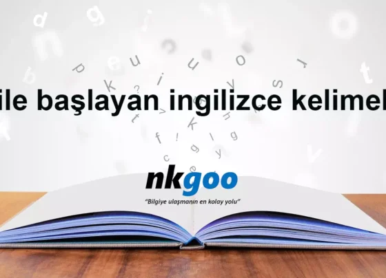 y ile başlayan ingilizce kelimeler