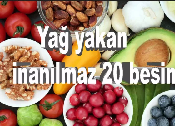 yağ yakan besinler