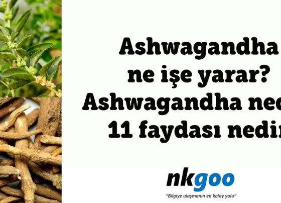 Ashwagandha ınedir