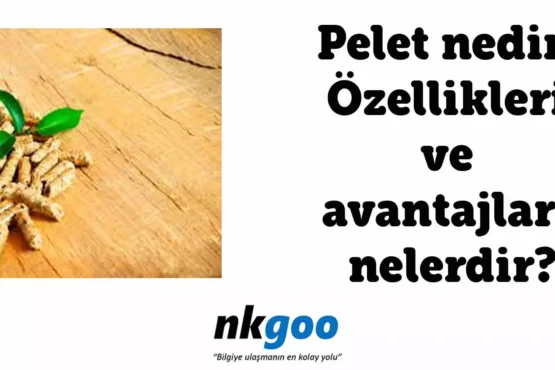 pelet nedir