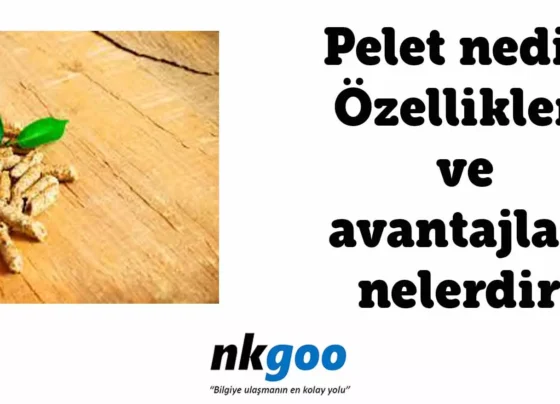 pelet nedir