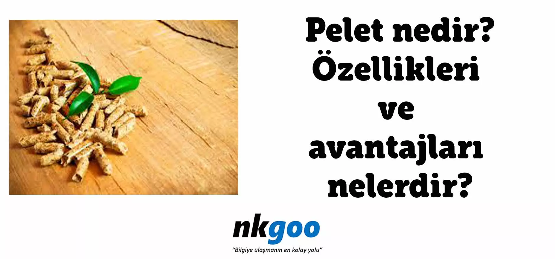 Pelet nedir? Özellikleri ve 6 avantajı nedir?