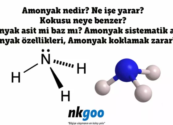 amonyak nedir