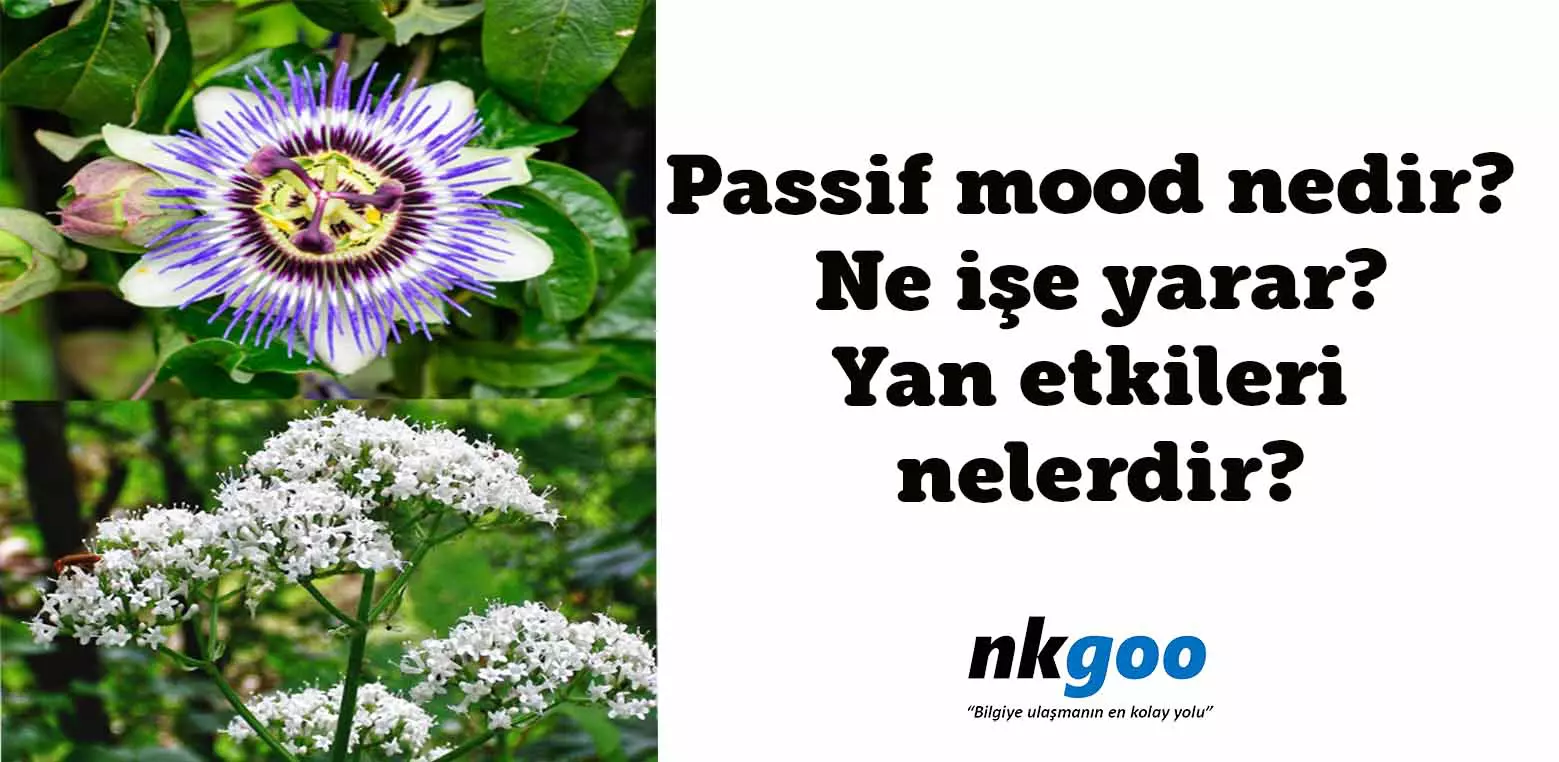 Passif mood nedir?  Ne işe yarar? Yan etkileri