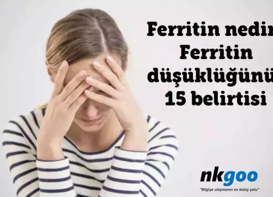 Ferritin ne demek