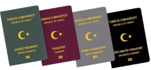 pasaport cesitleri nelerdir