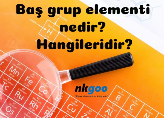 bas grup elementi nedir