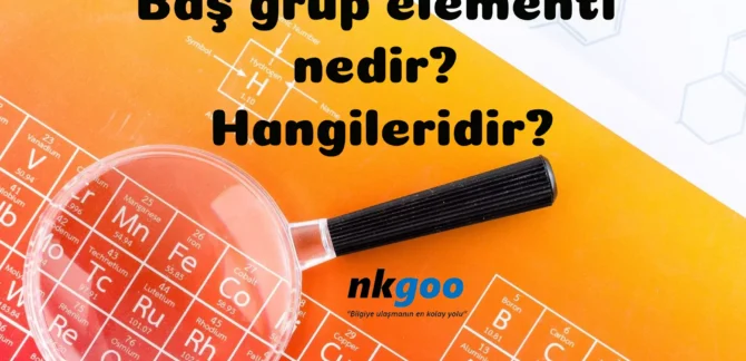 bas grup elementi nedir