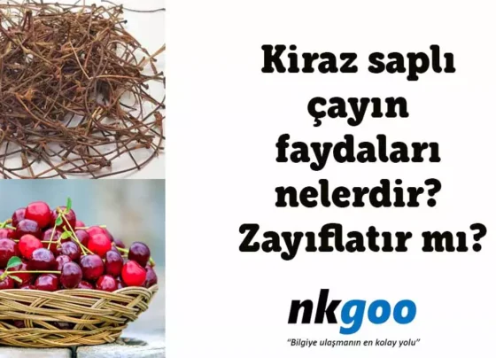 kiraz sapli cayin faydalari