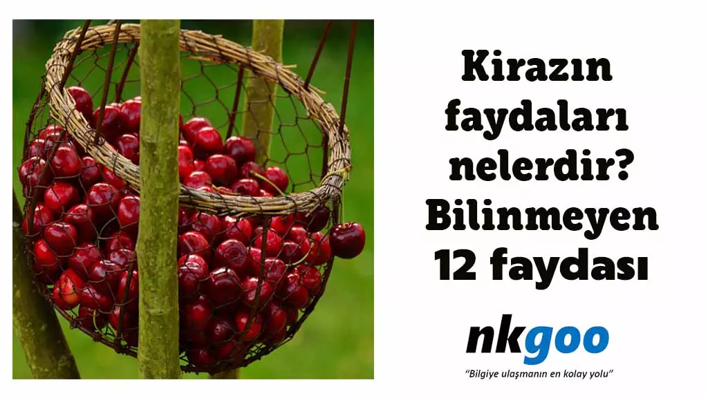 Kirazın faydaları nelerdir? Bilinmeyen 12 faydası