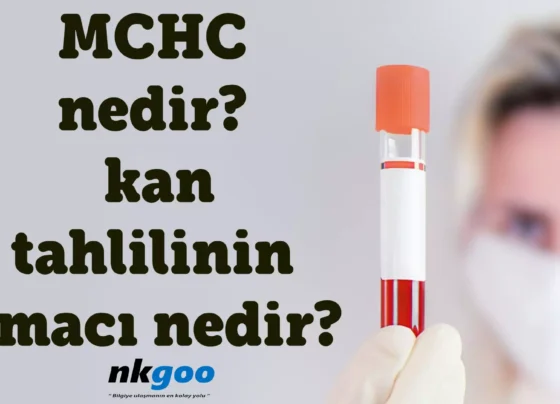 mchc nedir kan tahlili