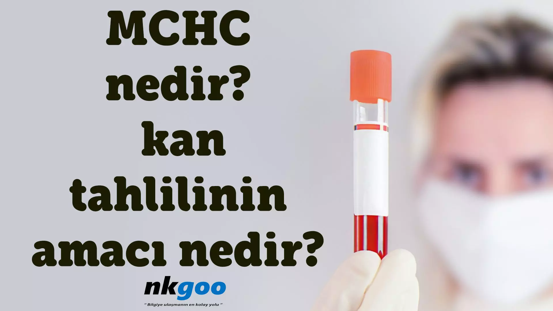 Mchc nedir kan tahlilinin amacı nedir?