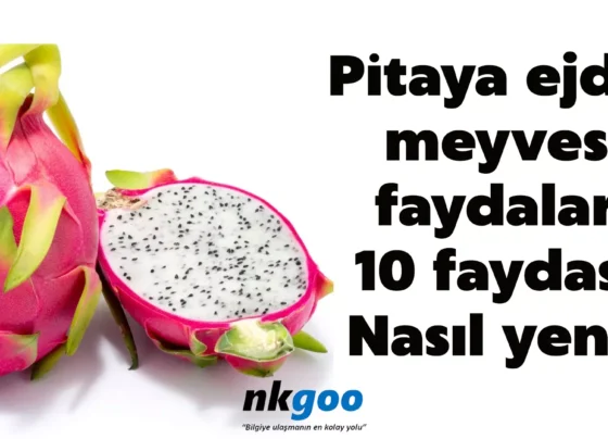 pitaya ejder meyvesi faydalari