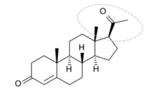 progesteron hormonu nedir 