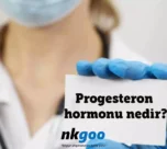 progesteron hormonu nedir