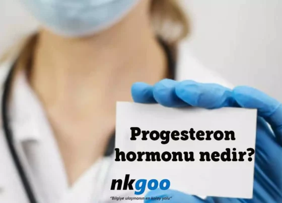 progesteron hormonu nedir