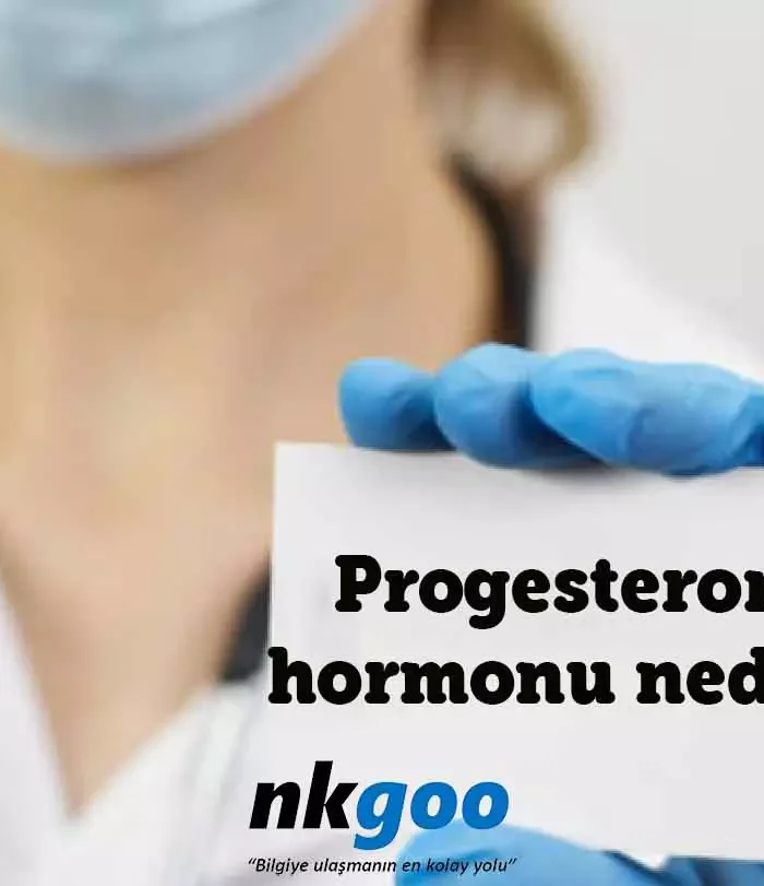 progesteron hormonu nedir