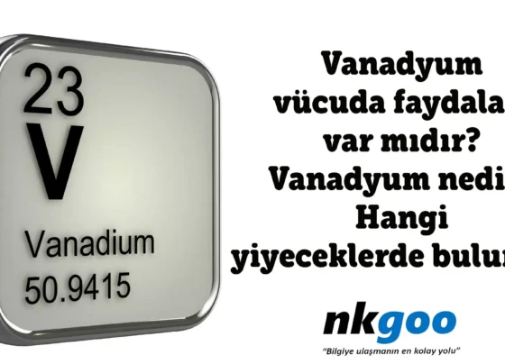 vanadyum vucuda faydalari