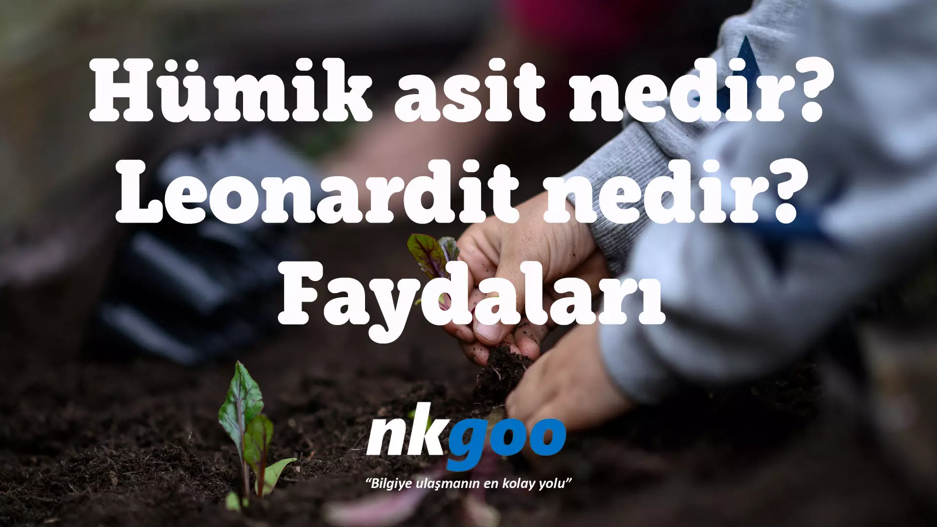 Hümik asit nedir? Leonardit nedir? Faydaları