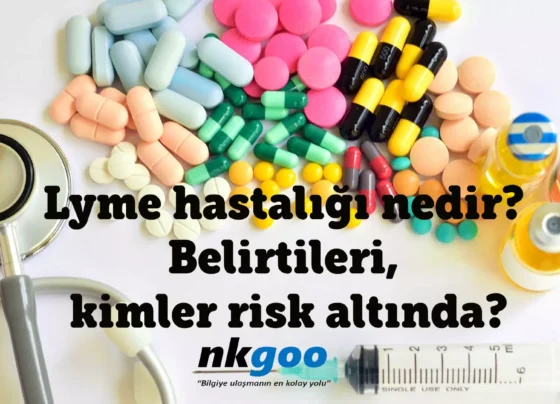 Lyme hastaligi nedir