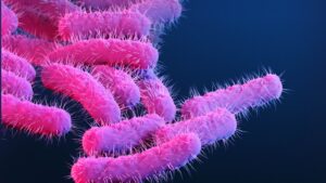 Piyeloseptyl ne ise yarar 