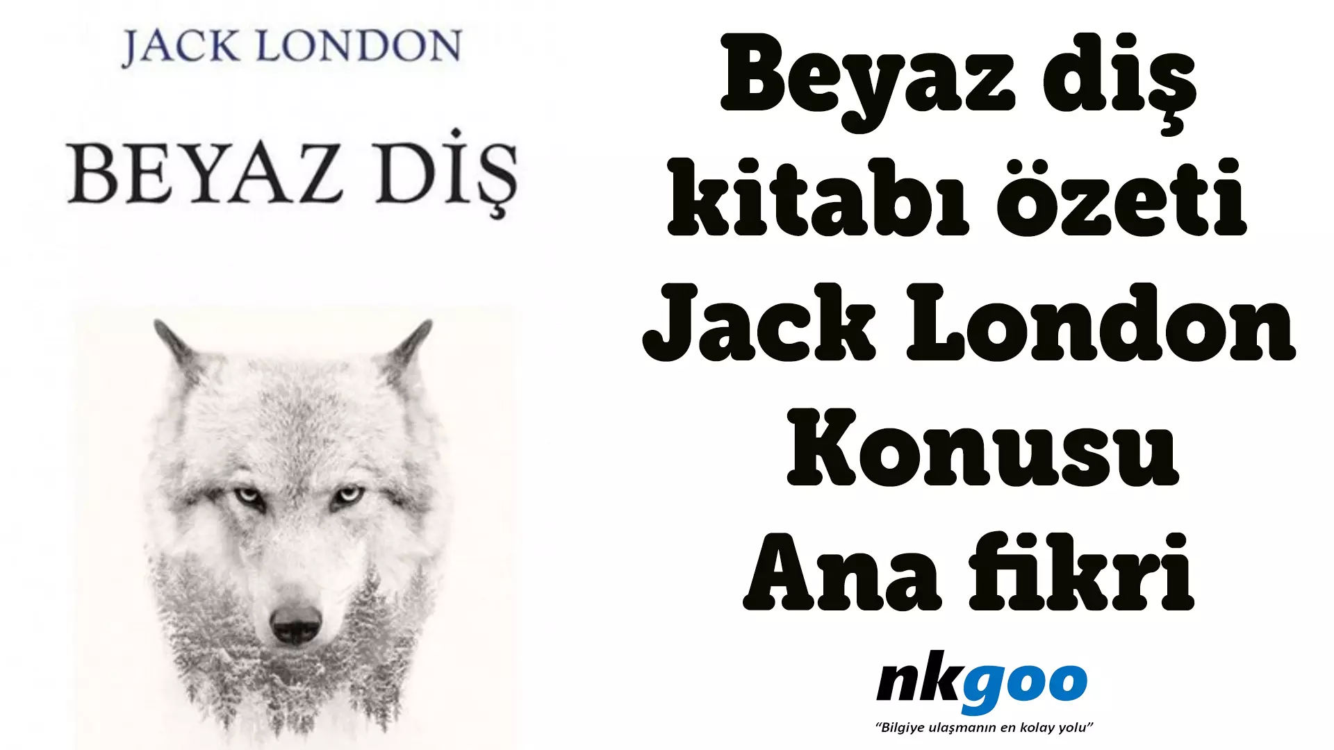 Beyaz diş özeti, Jack London, konusu, ana fikri