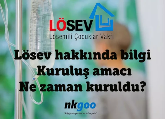 losev hakkinda bilgi