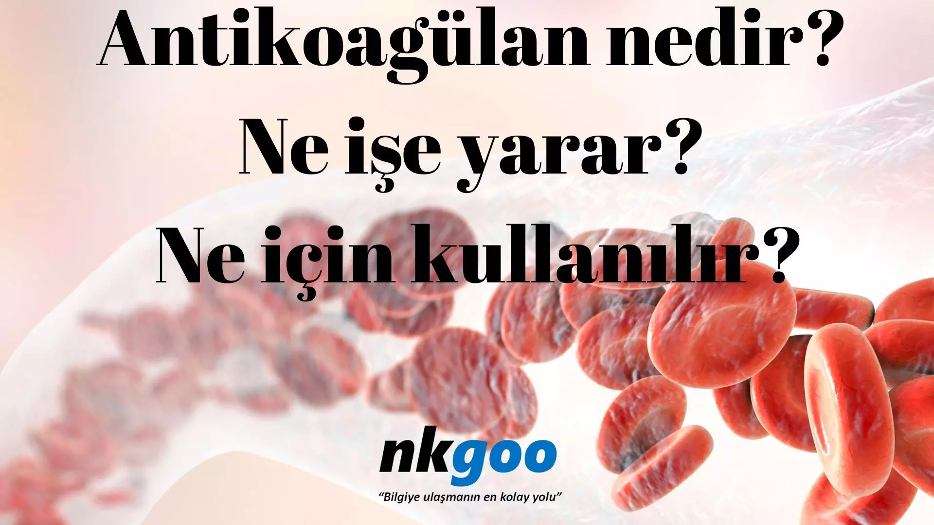 Antikoagülan nedir? Ne işe yarar? Yan etkileri