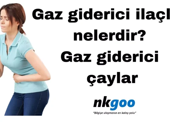 Gaz giderici ilaclar