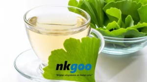 Ginkgo biloba faydalari 