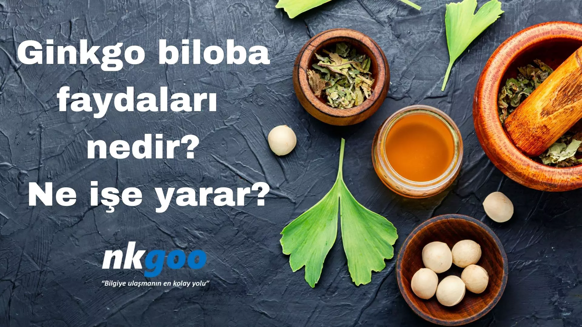 Ginkgo biloba faydaları, 12 faydası, ne işe yarar?