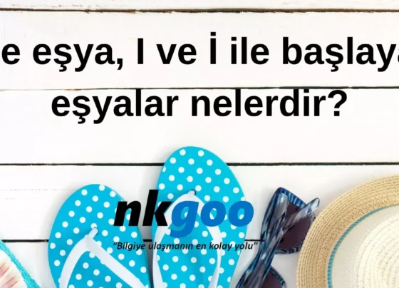 I ile esya