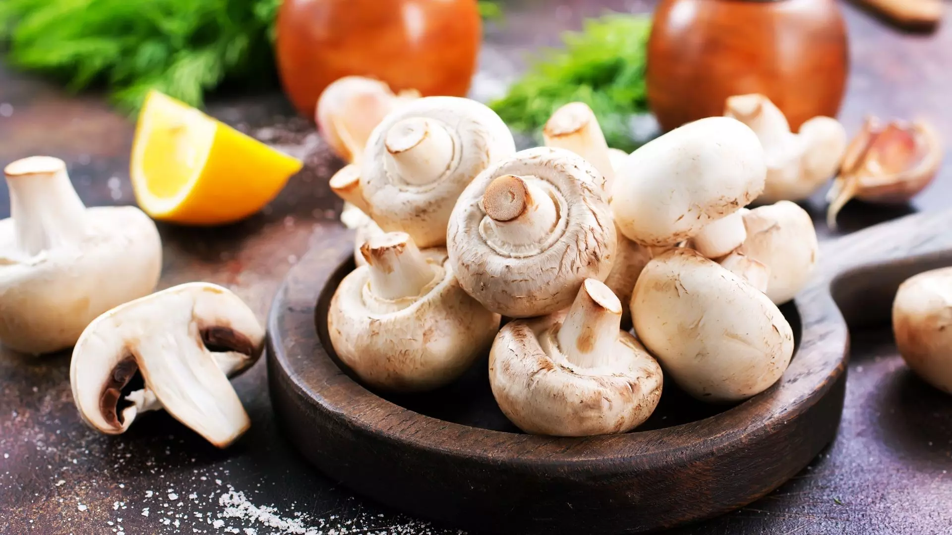 Kültür mantarı faydaları nelerdir? Zararları neler? - Nkgoo