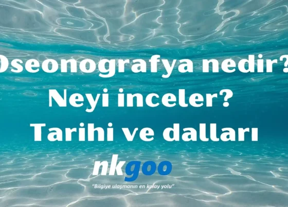 Oseonografya nedir