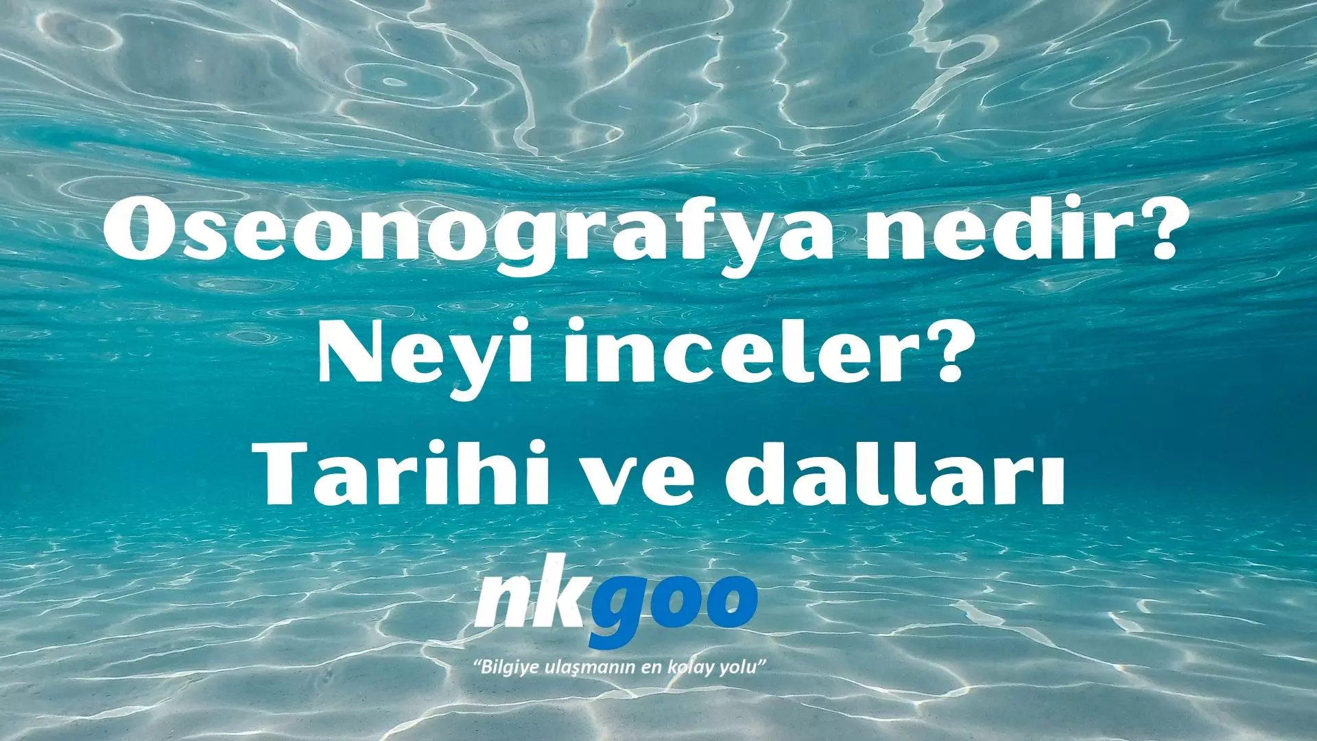 Oseonografya nedir? Neyi inceler? Tarihi ve dalları