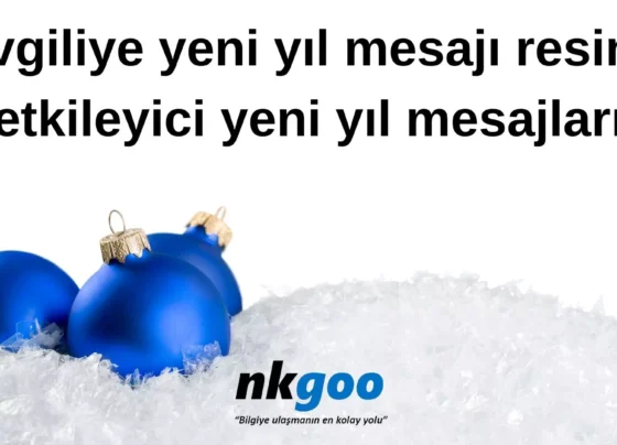 Sevgiliye yeni yil mesaji