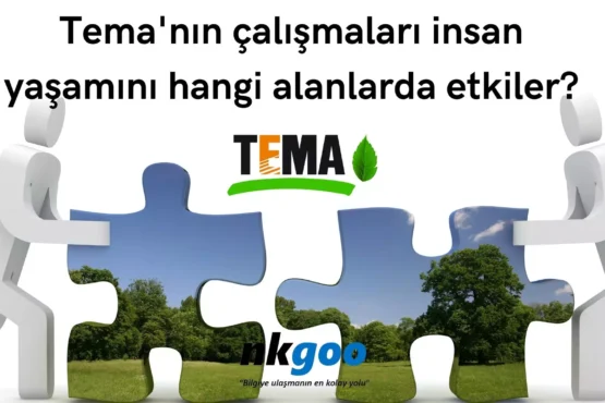 Temanin calismalari insan yasamini hangi alanlarda etkiler