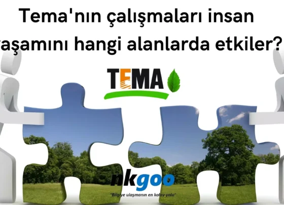 Temanin calismalari insan yasamini hangi alanlarda etkiler