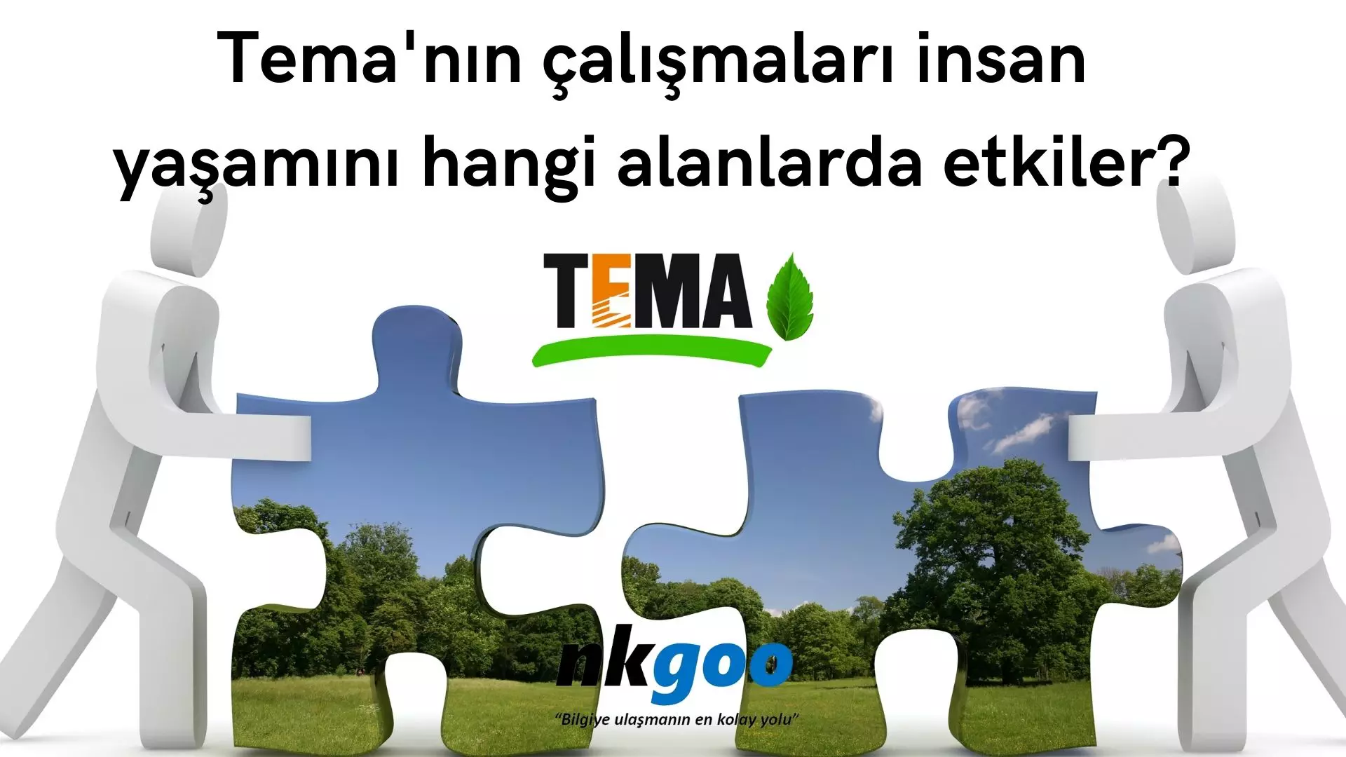 Tema’nın çalışmaları insan yaşamını hangi alanlarda etkiler?