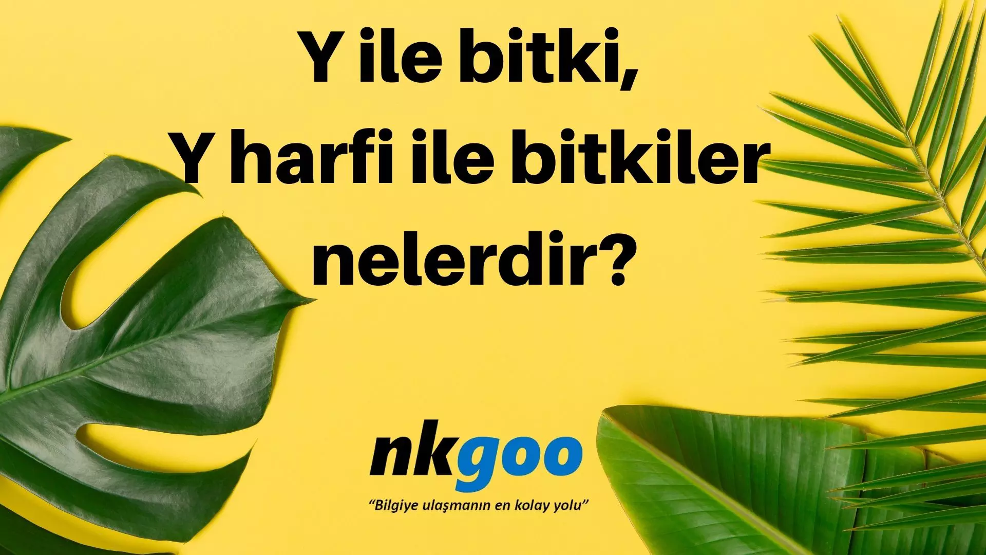 Y ile bitki, Y harfi ile bitkiler nelerdir?