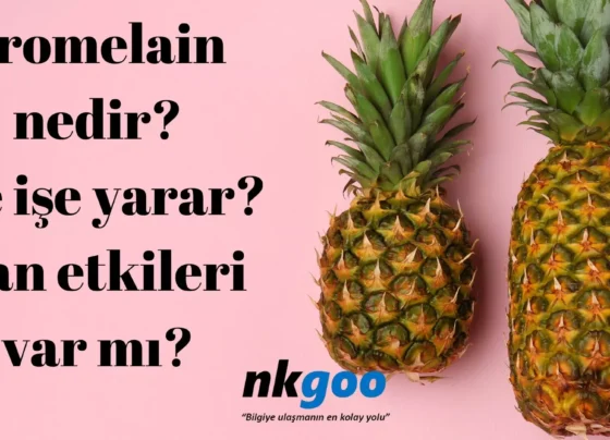 bromelain nedir