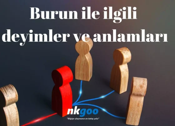 burun ile ilgili deyimler