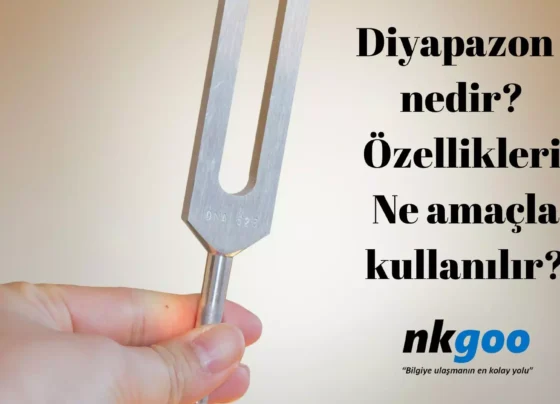 diyapazon nedir