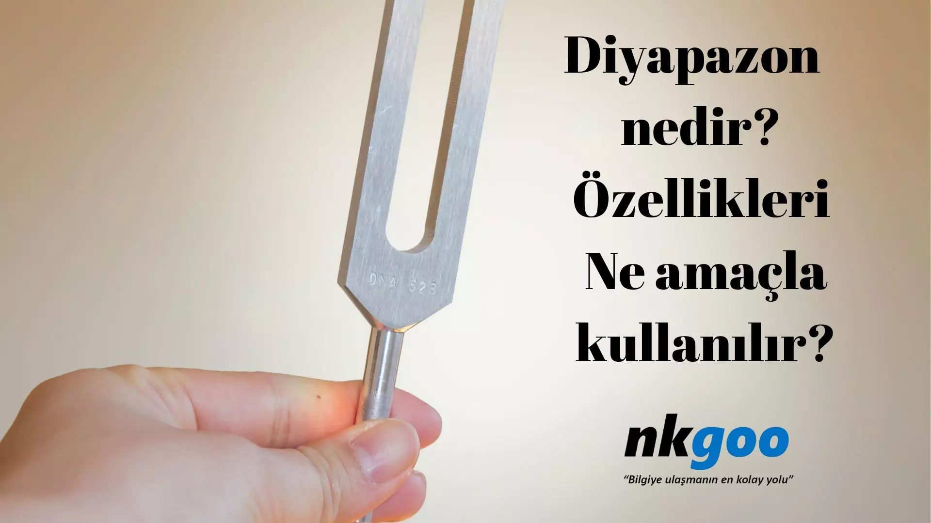 Diyapazon nedir? Özellikleri, nerelerde kullanılır?