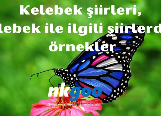 kelebek siirleri