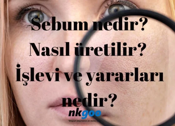 sebum nedir